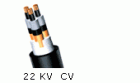 22kV XLPE , PVC ý ̺(CV)