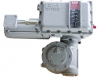Electric Actuator(EIM-4000)